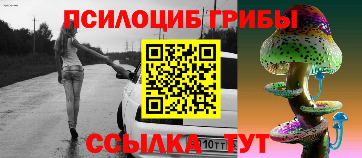 где купить   Вход с VPN  Химки  Псилоцибиновые грибы мухоморы  Галлюциногенные грибы мухоморы 